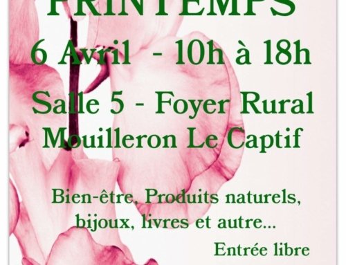 Salon de printemps 2024 Mouilleron le captif